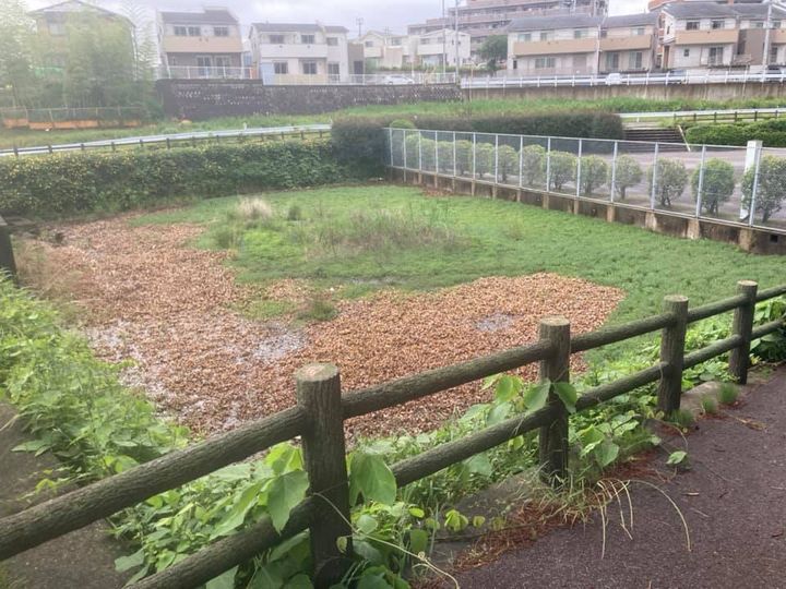 谷田町内にある本林調整池