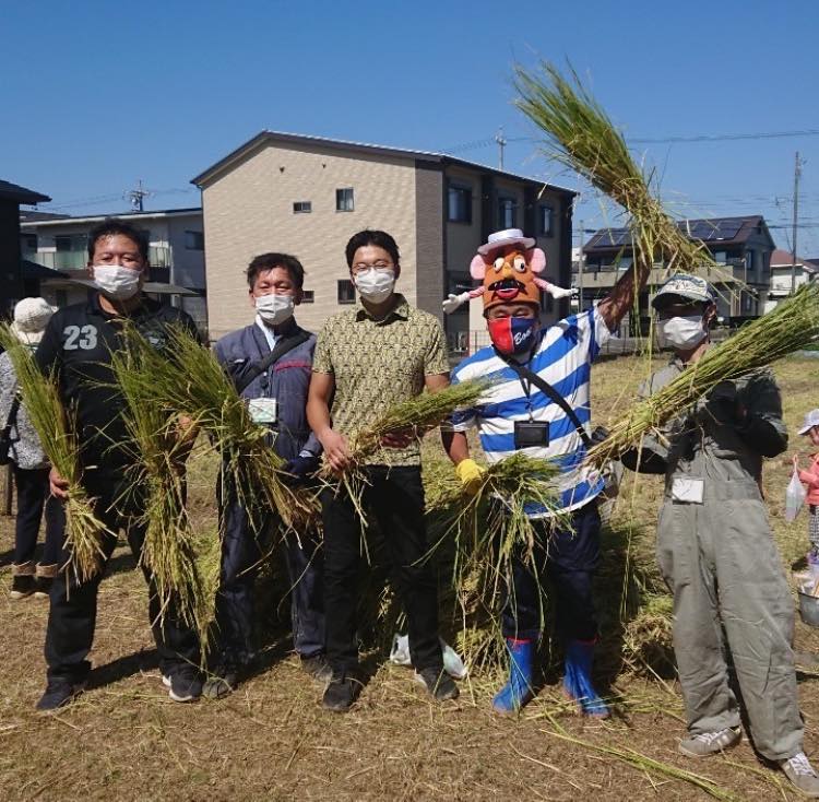 知立南小学校の田んぼの稲刈り