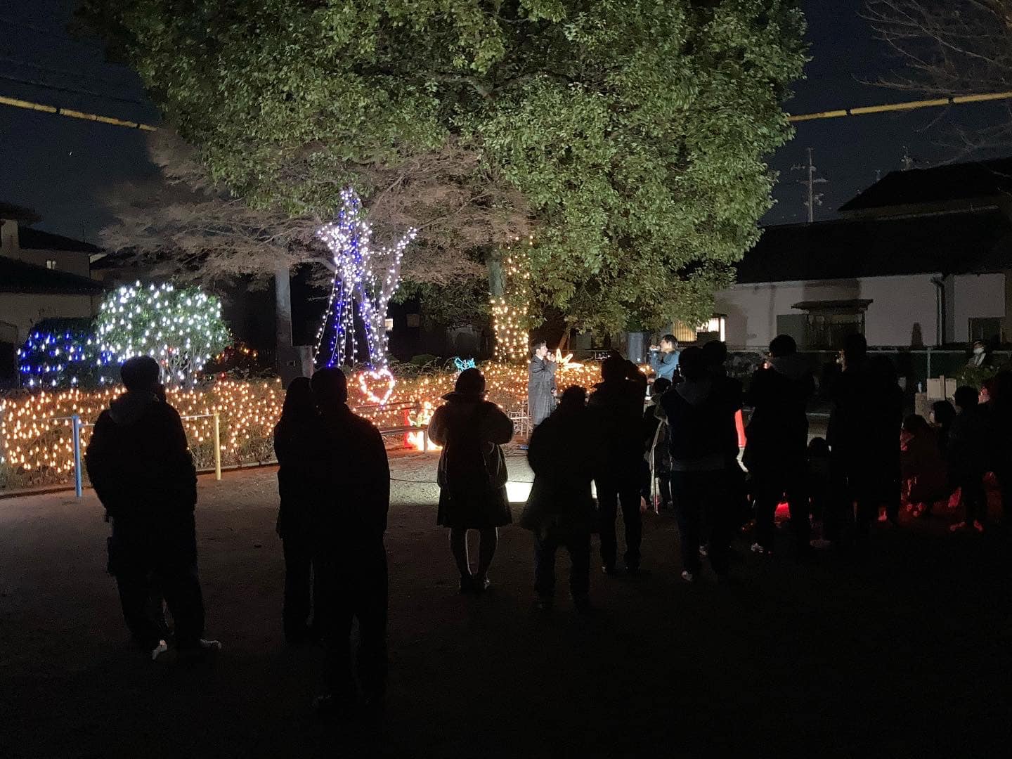 🎶音楽祭🎶@谷田公園イルミネーション