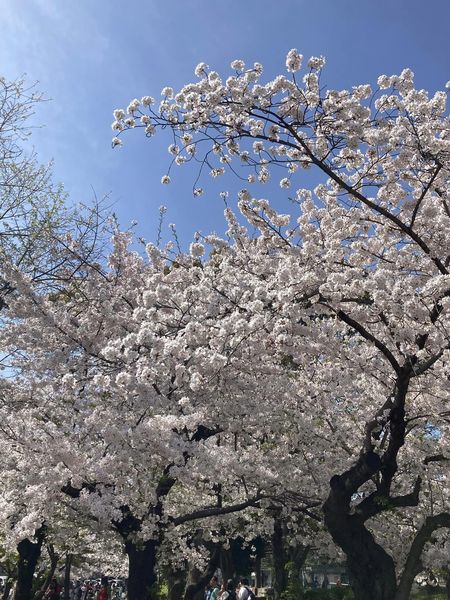 明日からの新生活を前に